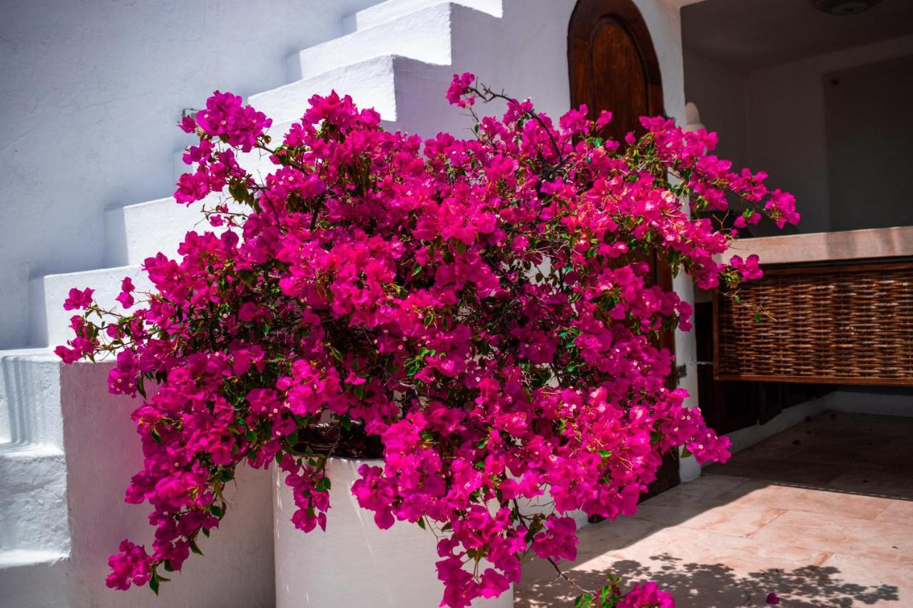 Hotel Aguamarina Boutique (Adults Only) Cartagena Bagian luar foto